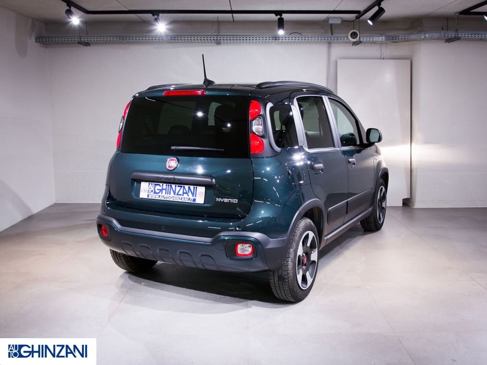 Fiat Panda Cross usata a Bergamo (8)