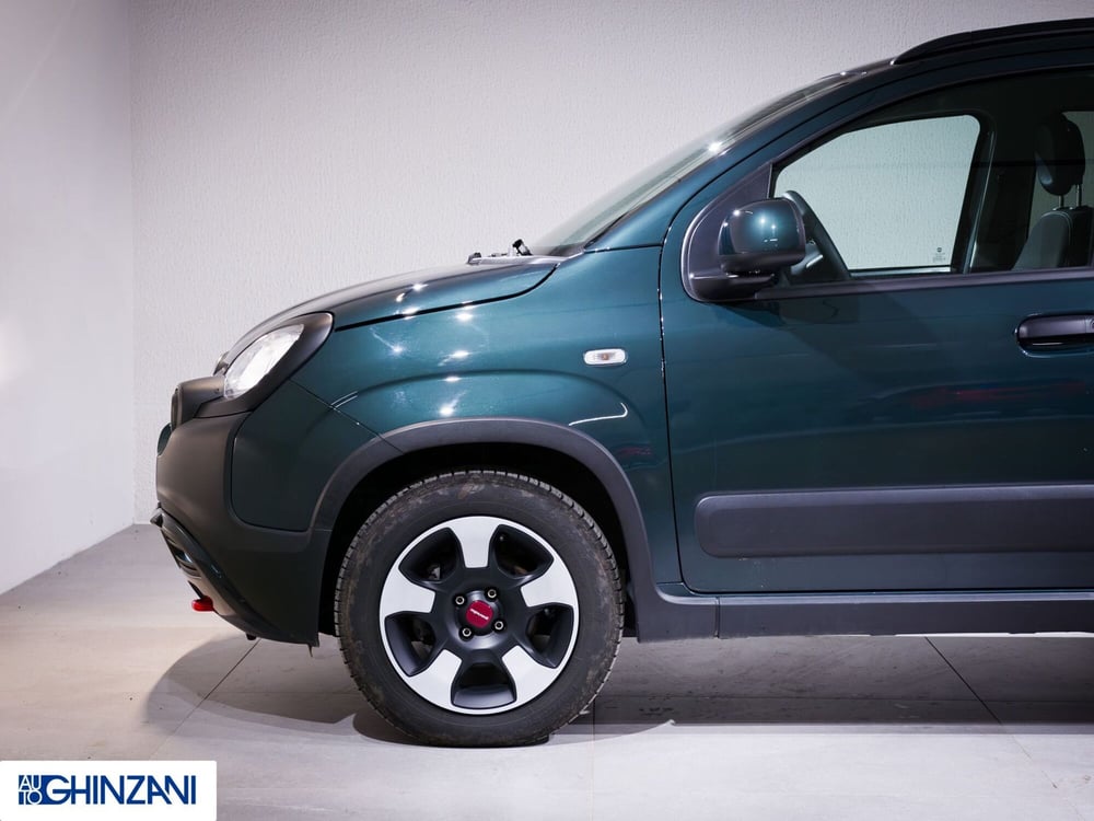 Fiat Panda Cross usata a Bergamo (9)