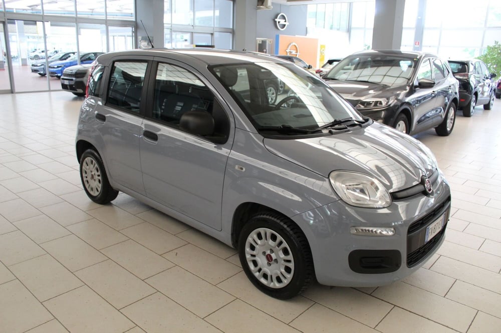 Fiat Panda usata a Cremona (2)