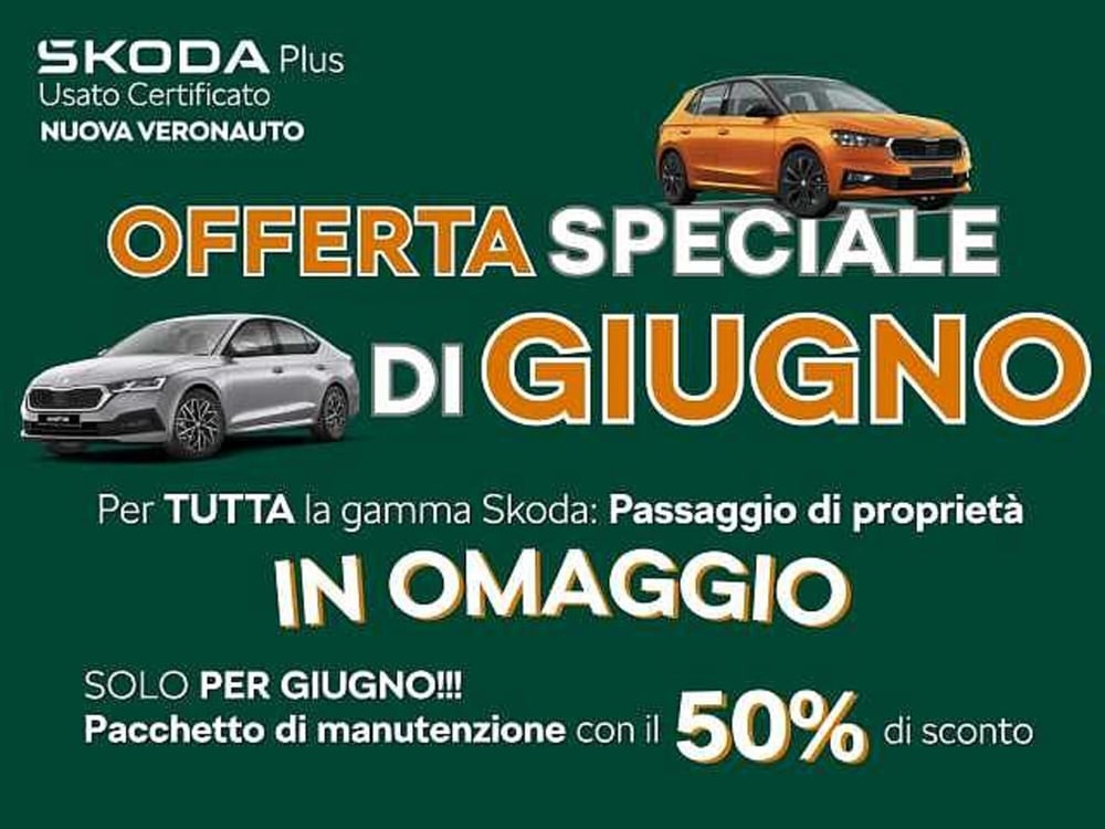 Skoda Fabia usata a Verona (2)