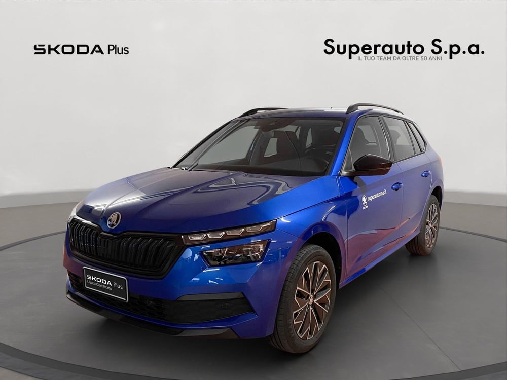 Skoda Kamiq usata a Padova (15)