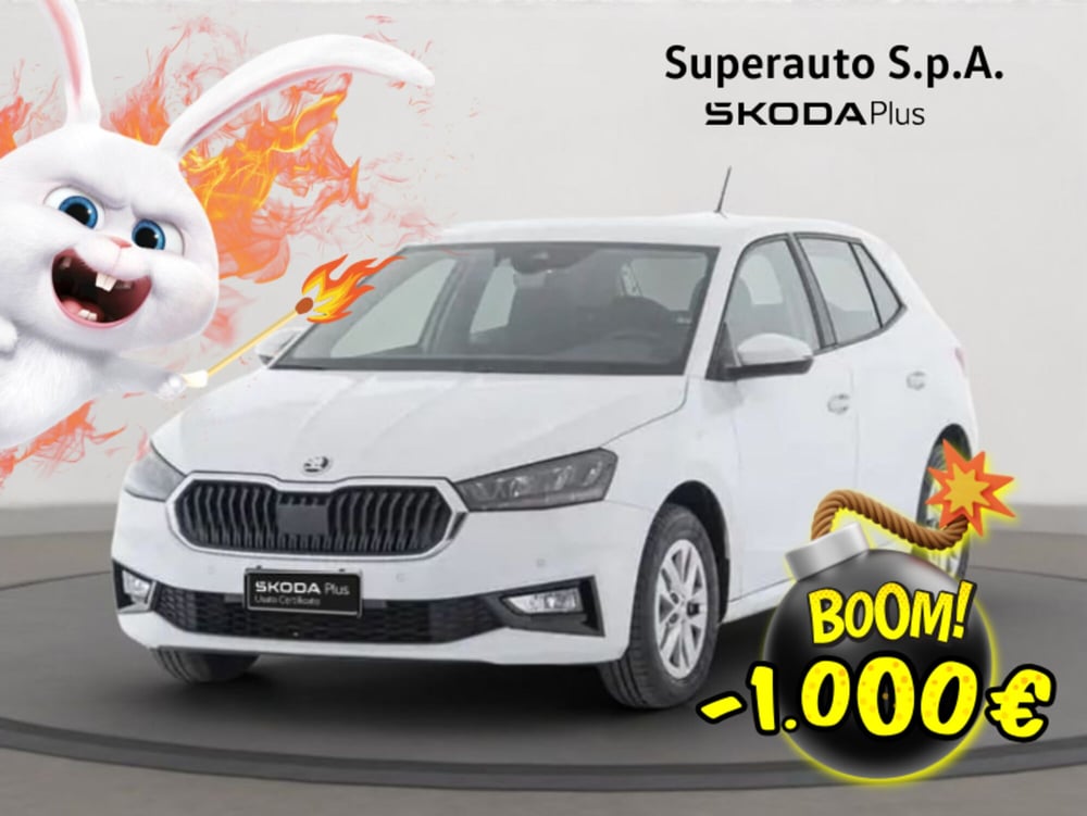 Skoda Fabia usata a Padova