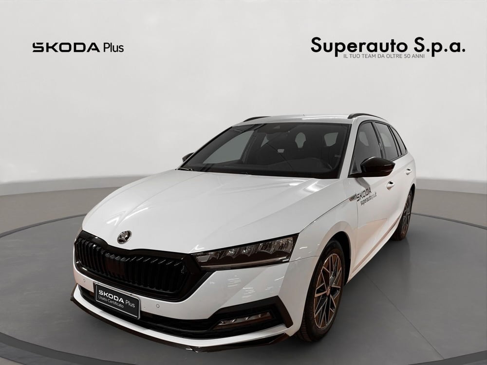 Skoda Octavia Station Wagon usata a Padova (19)