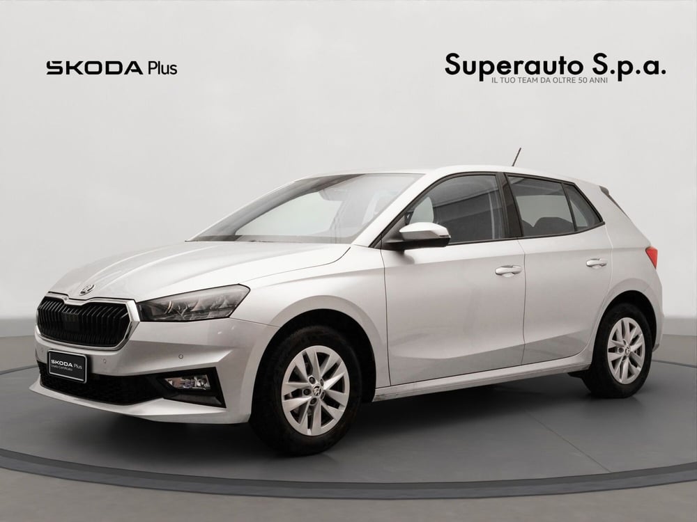 Skoda Fabia usata a Padova (18)