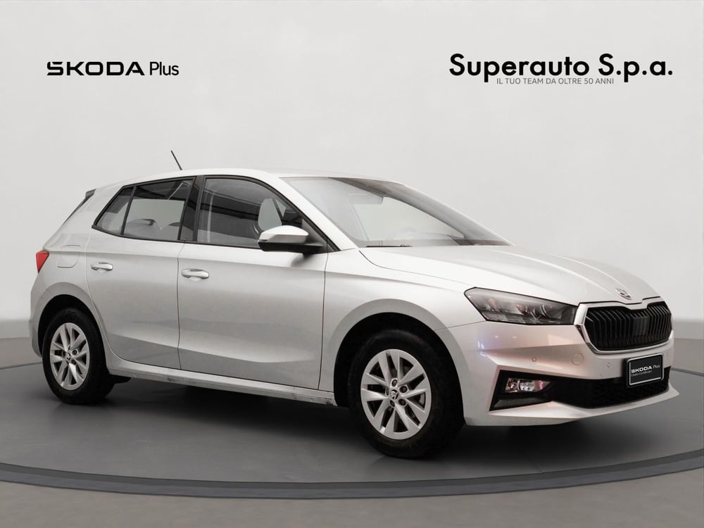 Skoda Fabia usata a Padova (7)