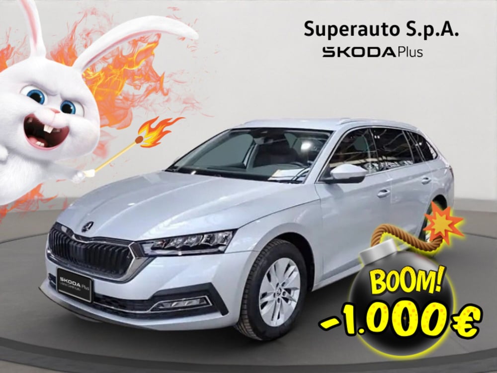 Skoda Octavia Station Wagon usata a Padova