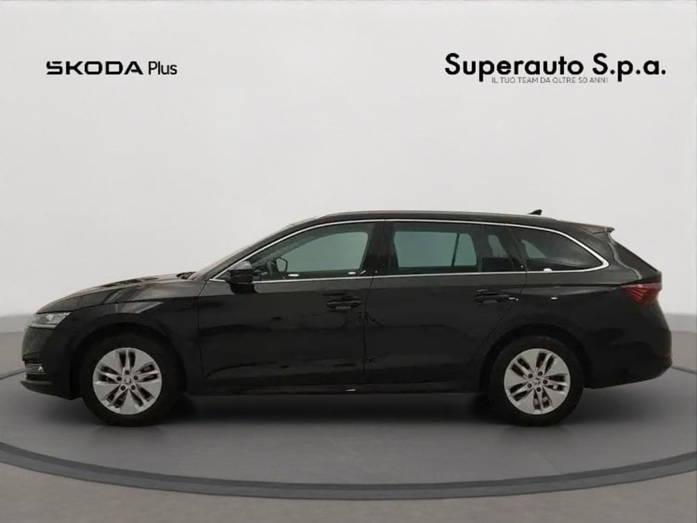Skoda Octavia usata a Padova (3)