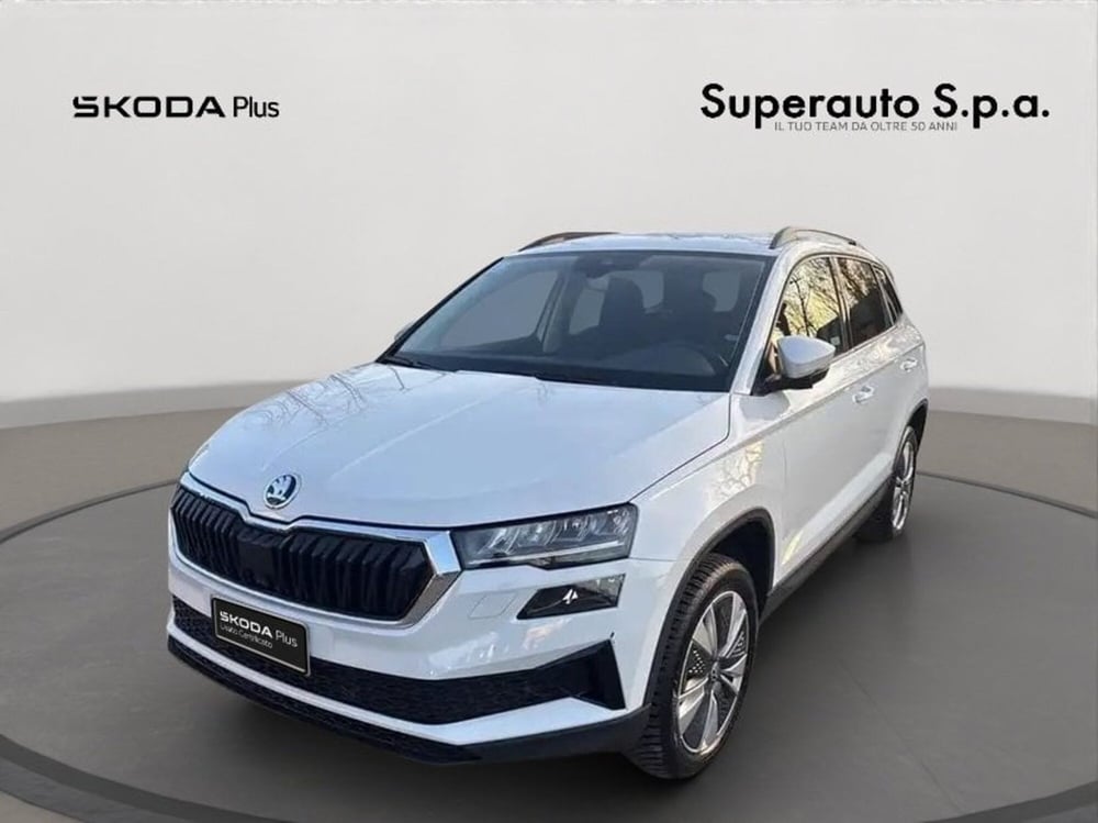 Skoda Karoq usata a Padova (11)