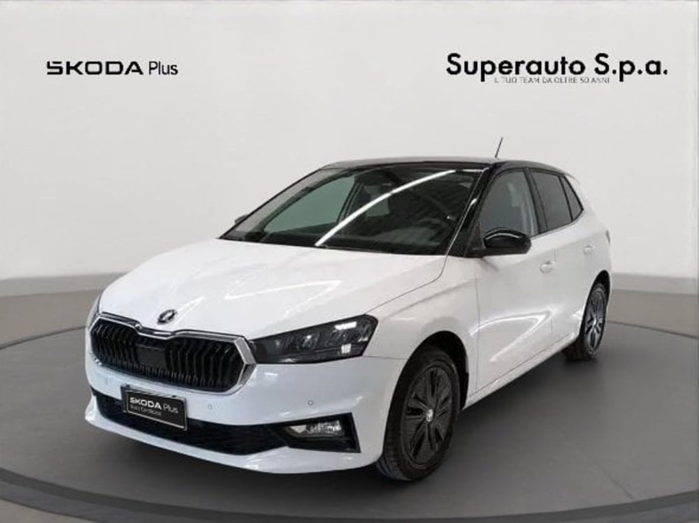 Skoda Fabia usata a Padova (11)