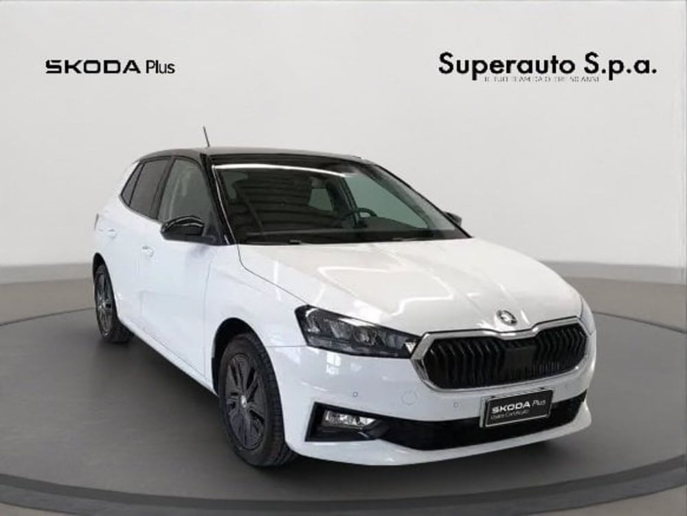 Skoda Fabia usata a Padova (3)