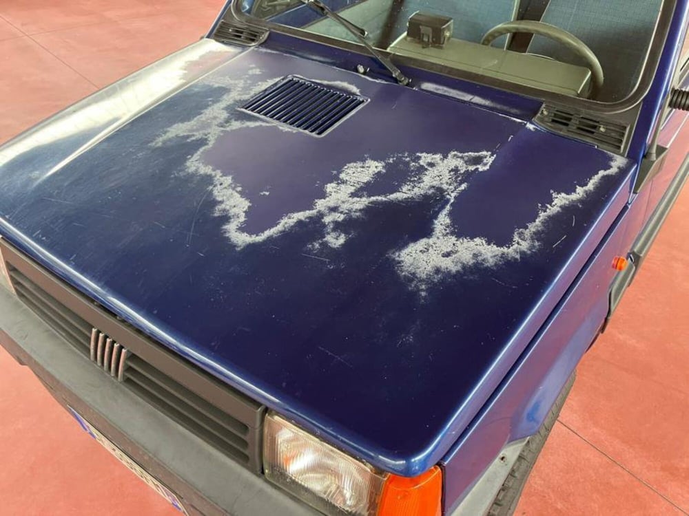 Fiat Panda usata a Cuneo (8)
