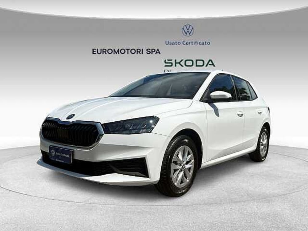 Skoda Fabia usata a Grosseto