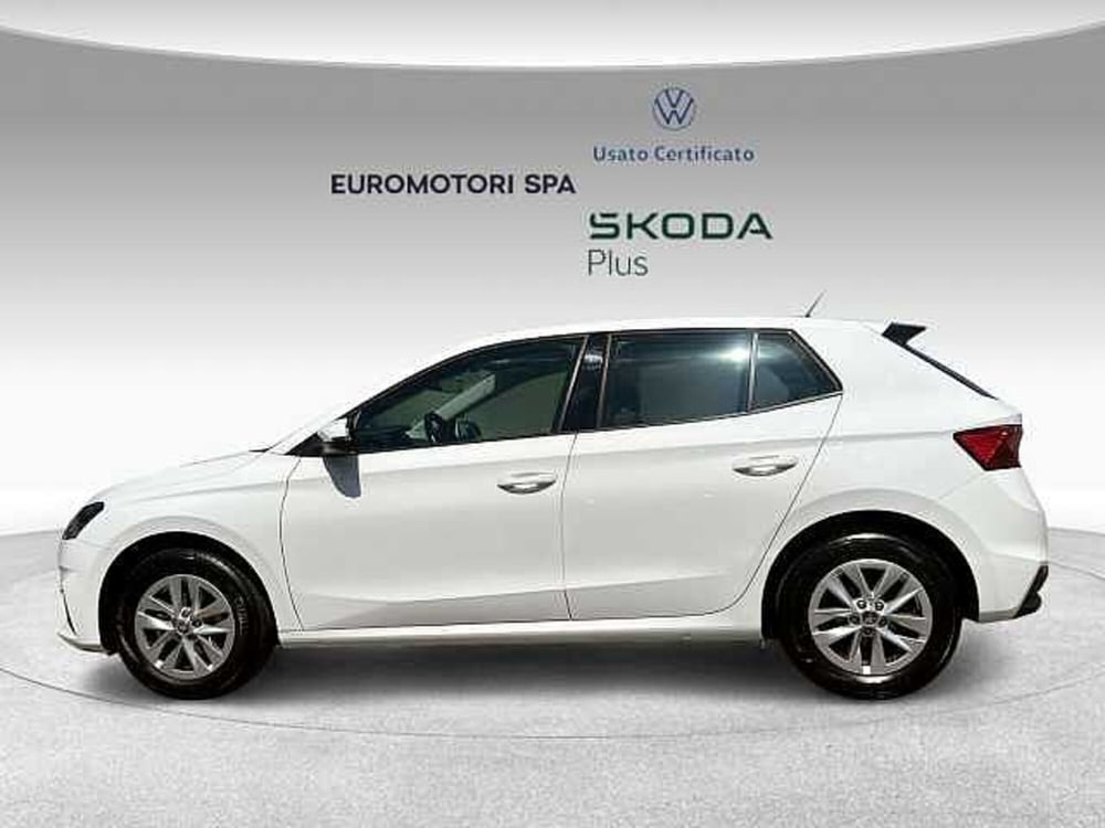 Skoda Fabia usata a Grosseto (2)