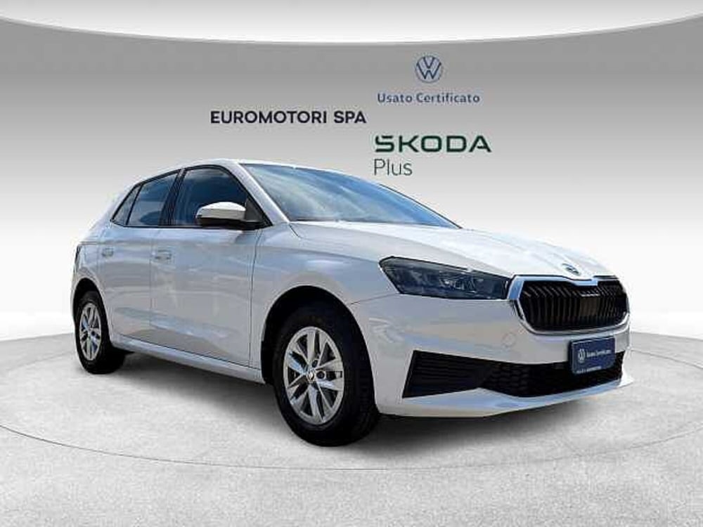 Skoda Fabia usata a Grosseto (6)