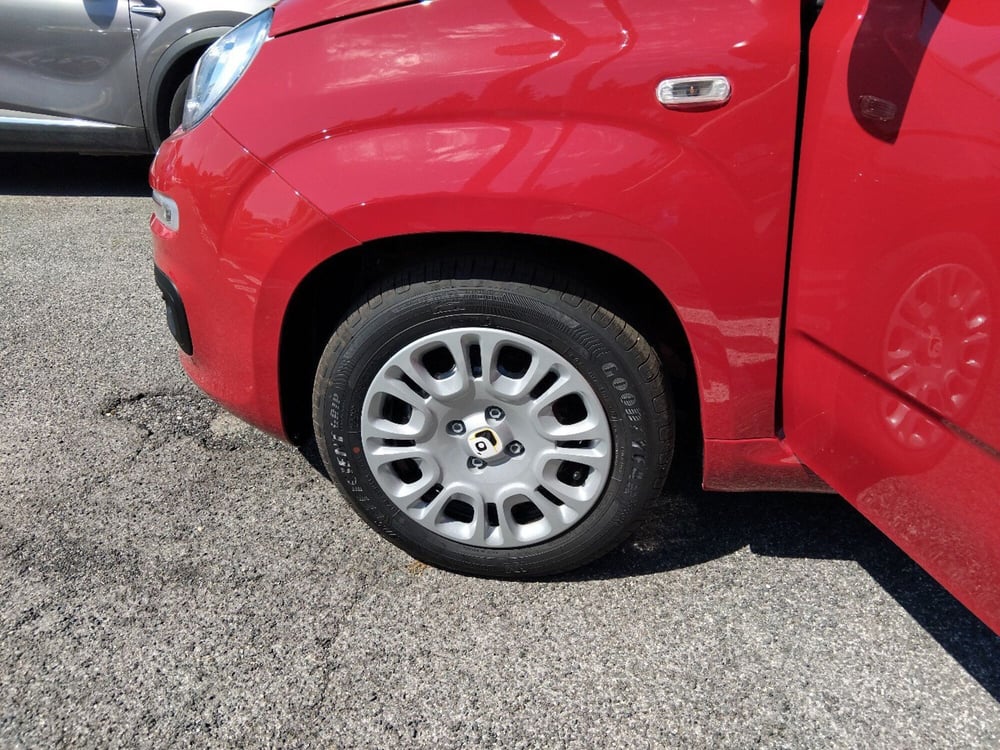Fiat Panda nuova a Roma (20)