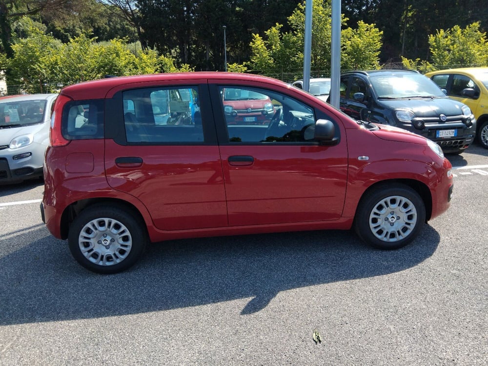 Fiat Panda nuova a Roma (6)