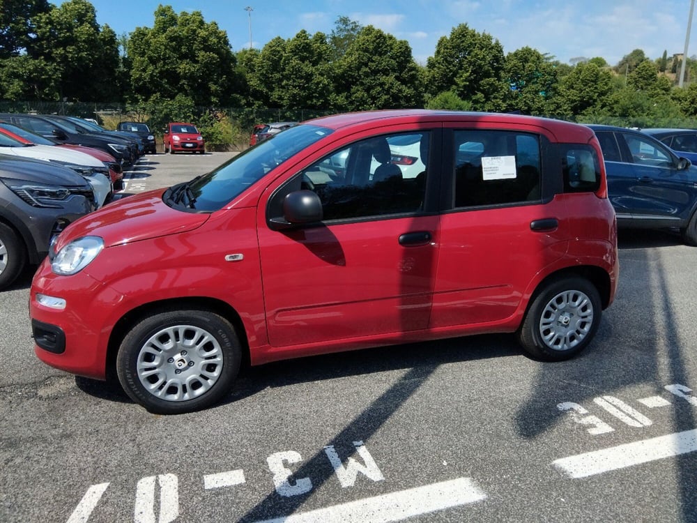 Fiat Panda nuova a Roma (8)