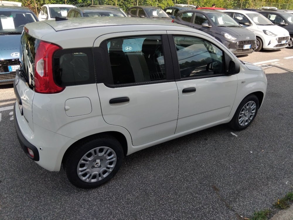 Fiat Panda nuova a Roma (6)
