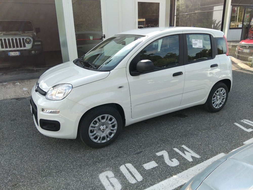 Fiat Panda nuova a Roma (8)