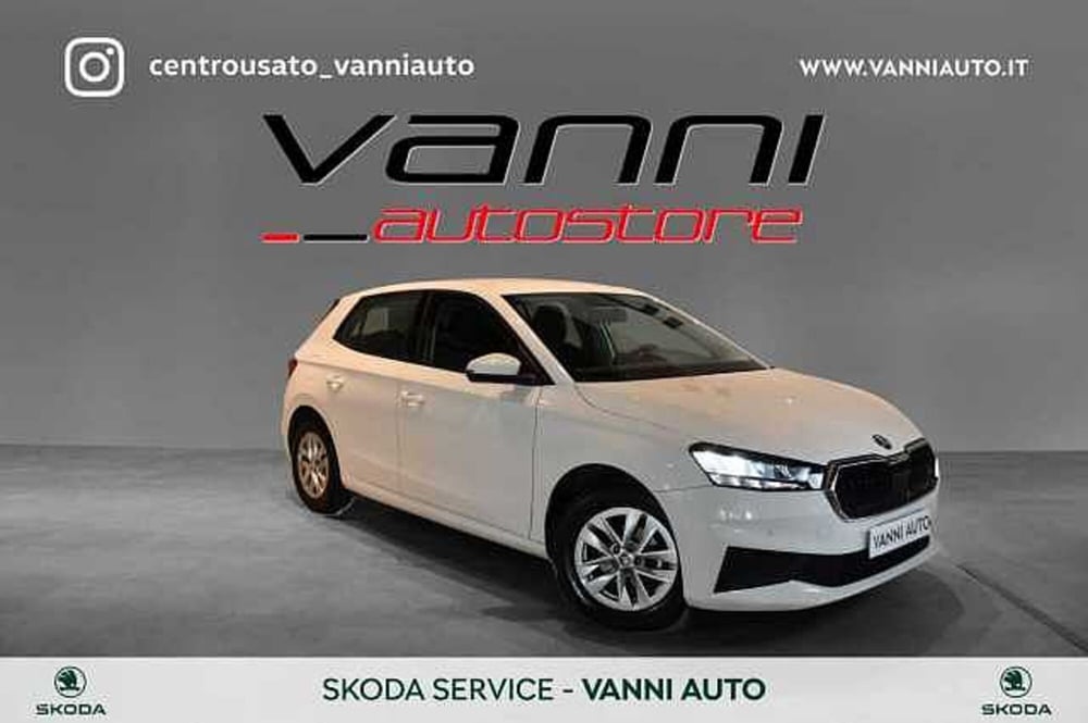 Skoda Fabia usata a Verona