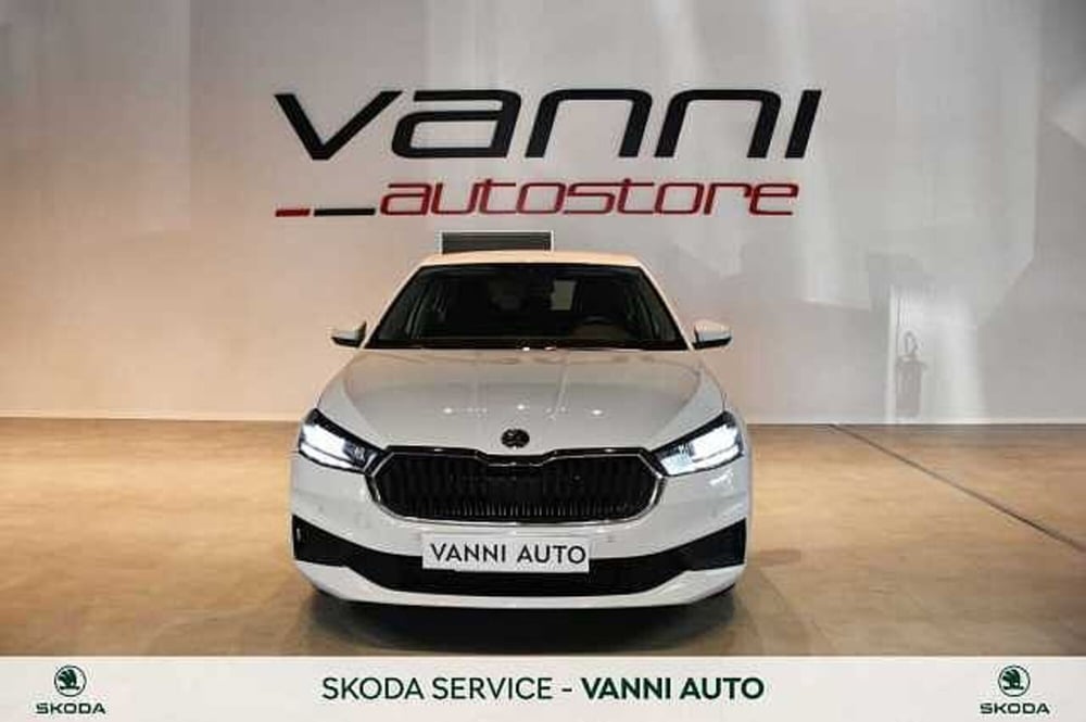 Skoda Fabia usata a Verona (2)