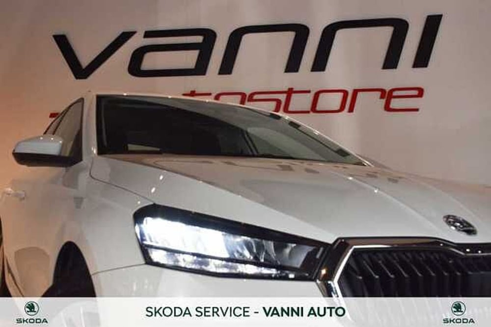Skoda Fabia usata a Verona (4)