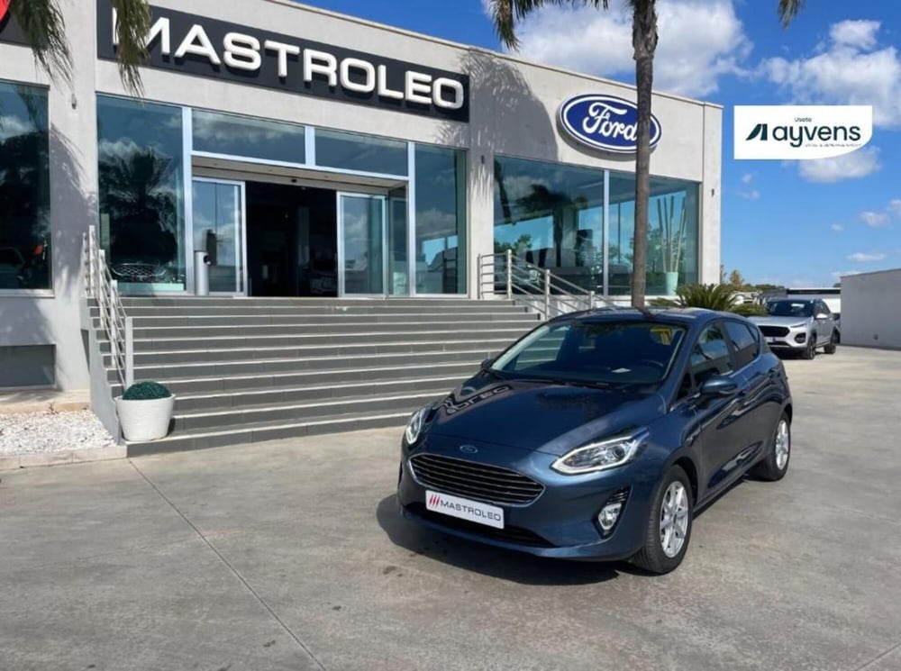 Ford Fiesta usata a Lecce (2)