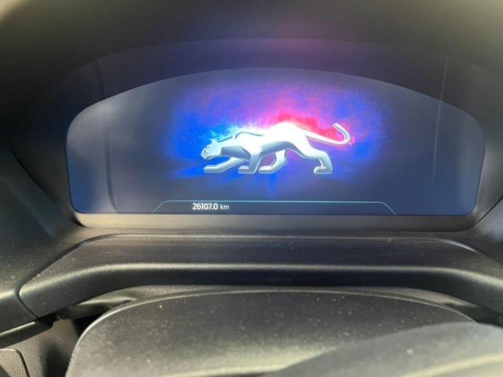 Ford Puma usata a Lodi (9)