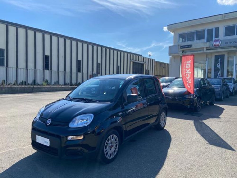 Fiat Panda usata a Firenze