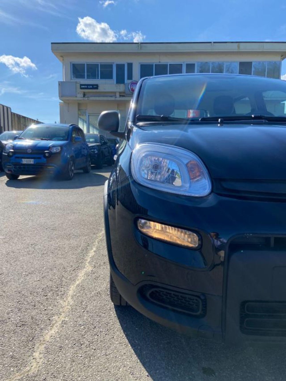 Fiat Panda usata a Firenze (16)