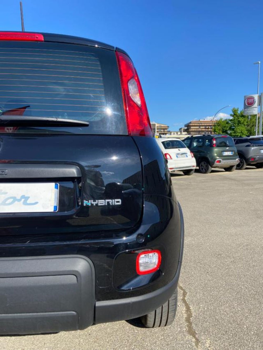 Fiat Panda usata a Firenze (17)
