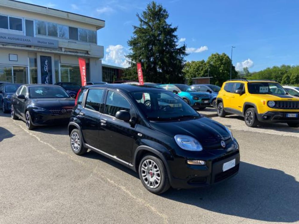 Fiat Panda usata a Firenze (3)