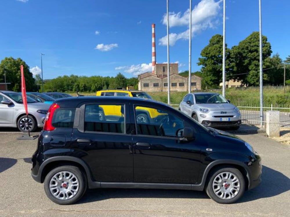 Fiat Panda usata a Firenze (4)