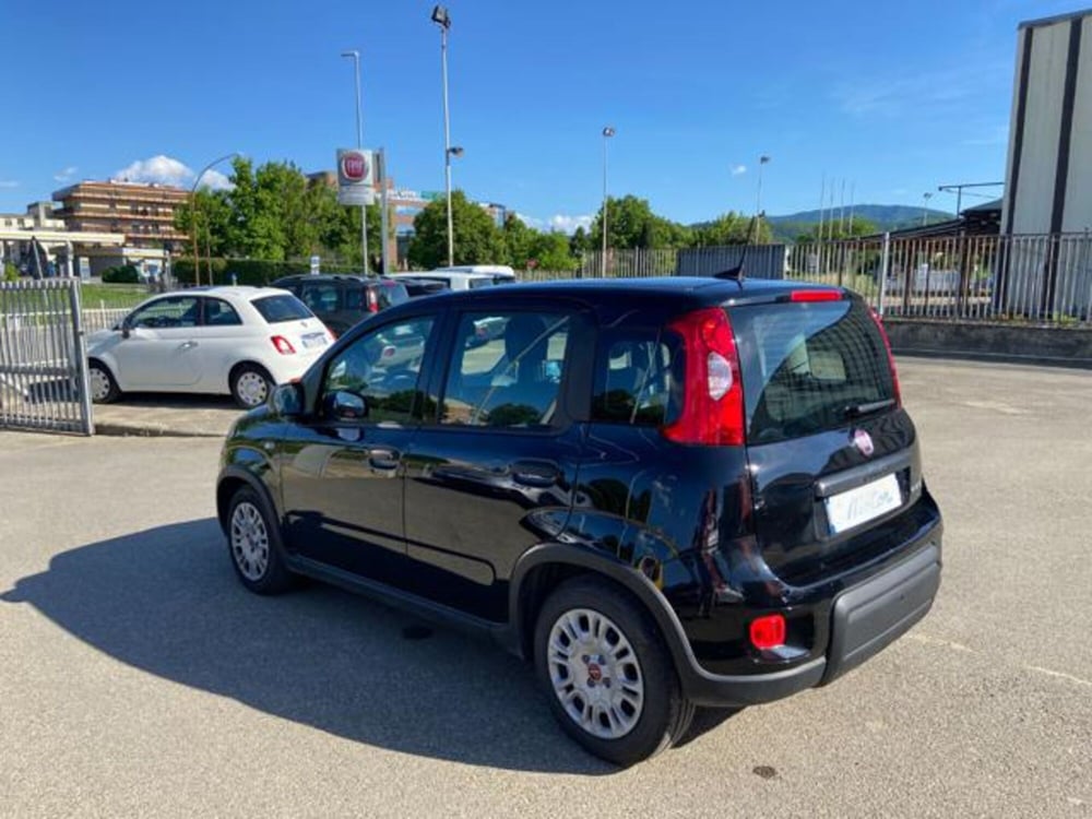 Fiat Panda usata a Firenze (7)