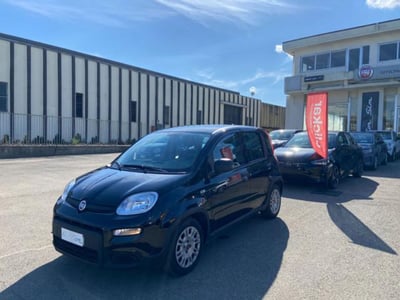 Fiat Panda 1.0 firefly hybrid s&amp;s 70cv 5p.ti del 2024 usata a Borgo San Lorenzo