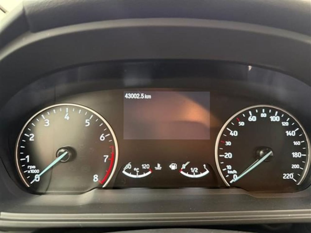 Ford EcoSport usata a Cremona (10)