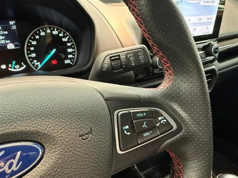 Ford EcoSport usata a Cremona (12)