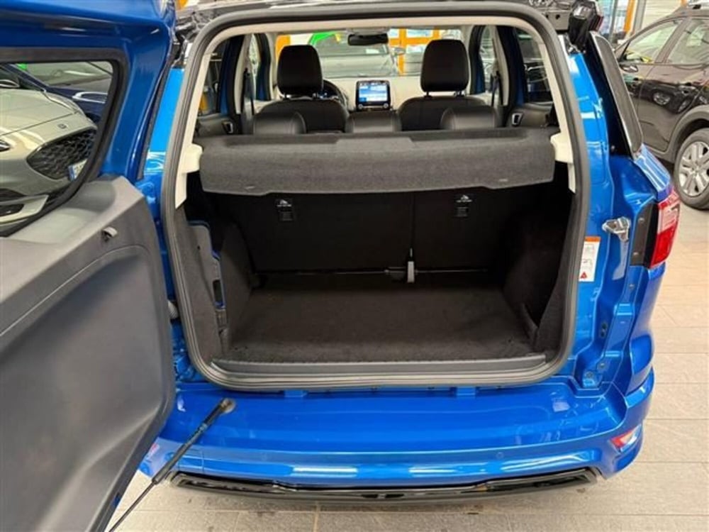 Ford EcoSport usata a Cremona (8)