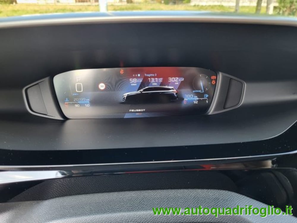 Peugeot 308 SW usata a Savona (14)