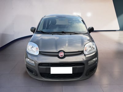 Fiat Panda 1.2 EasyPower City Life del 2021 usata a Torino