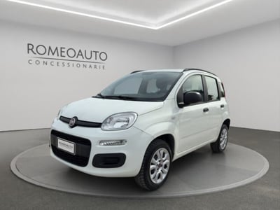Fiat Panda 0.9 TwinAir Turbo Natural Power Lounge del 2013 usata a Gubbio