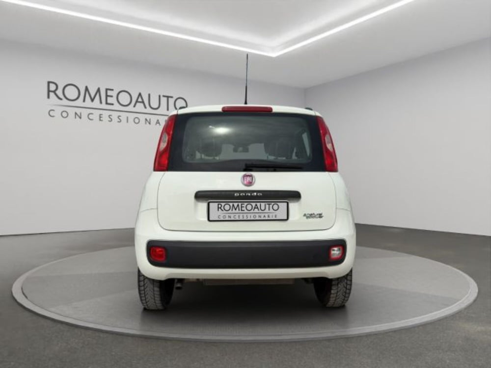 Fiat Panda usata a Perugia (5)