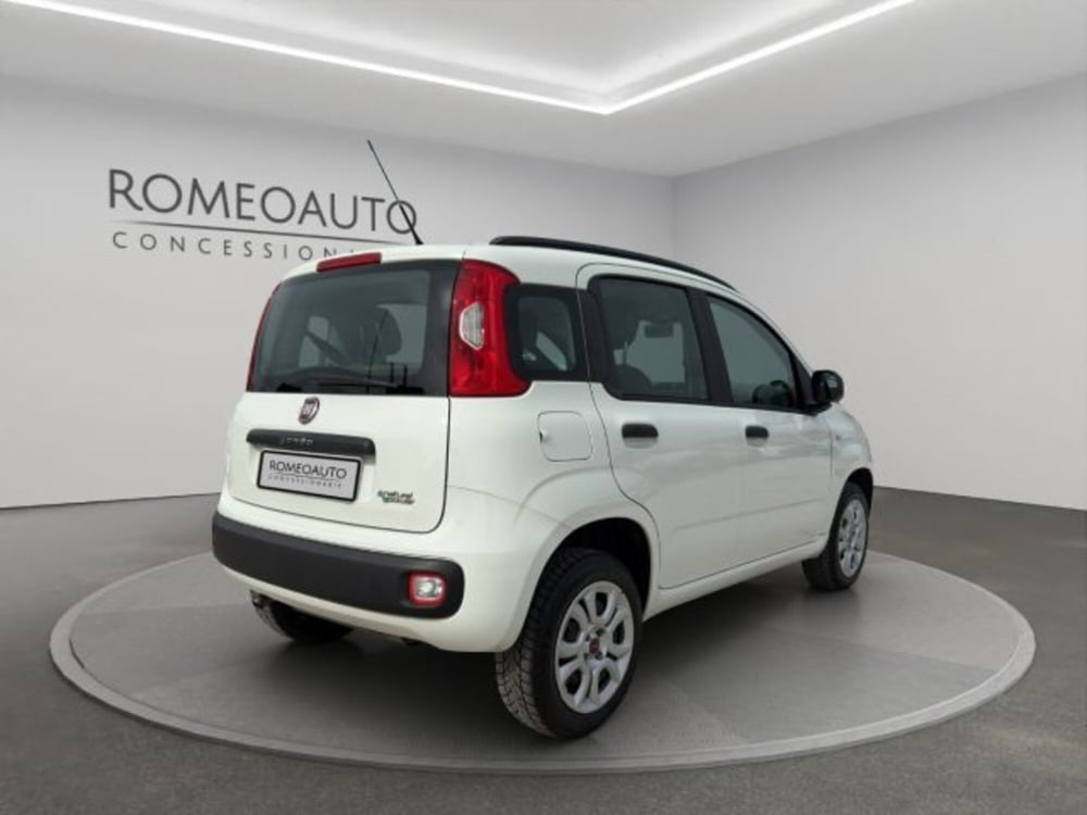 Fiat Panda usata a Perugia (6)
