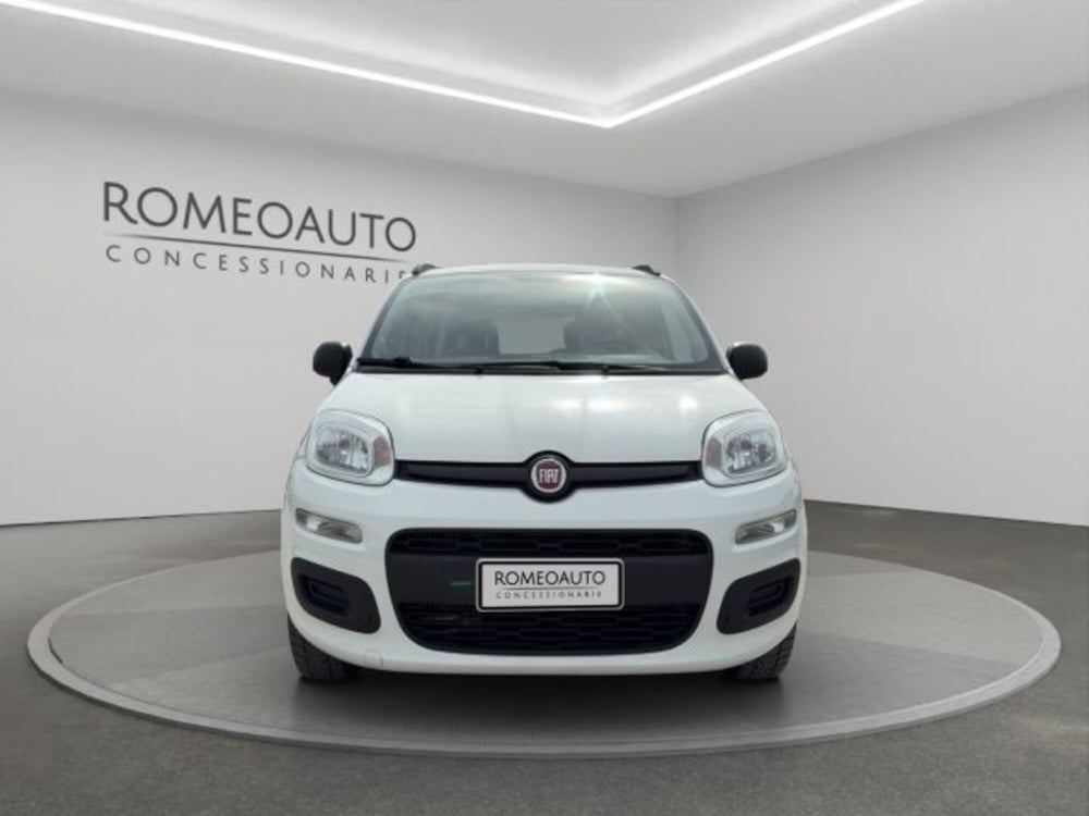 Fiat Panda usata a Perugia (9)