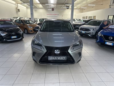 Lexus NX Hybrid 4WD Premium del 2019 usata a San Lazzaro di Savena