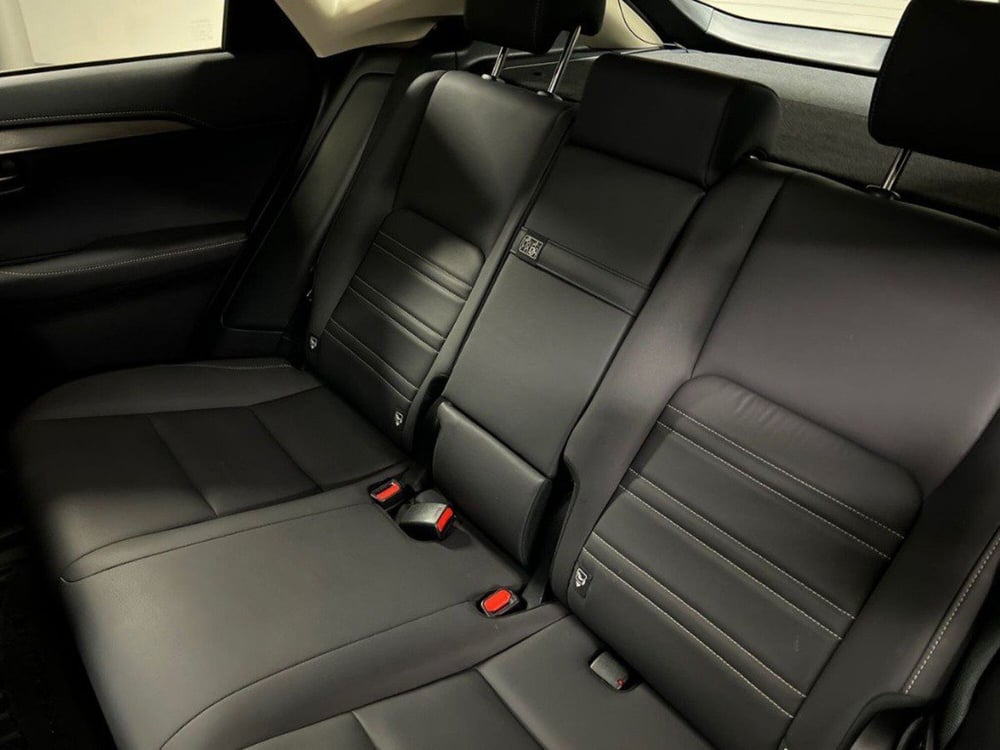 Lexus NX usata a Macerata (13)