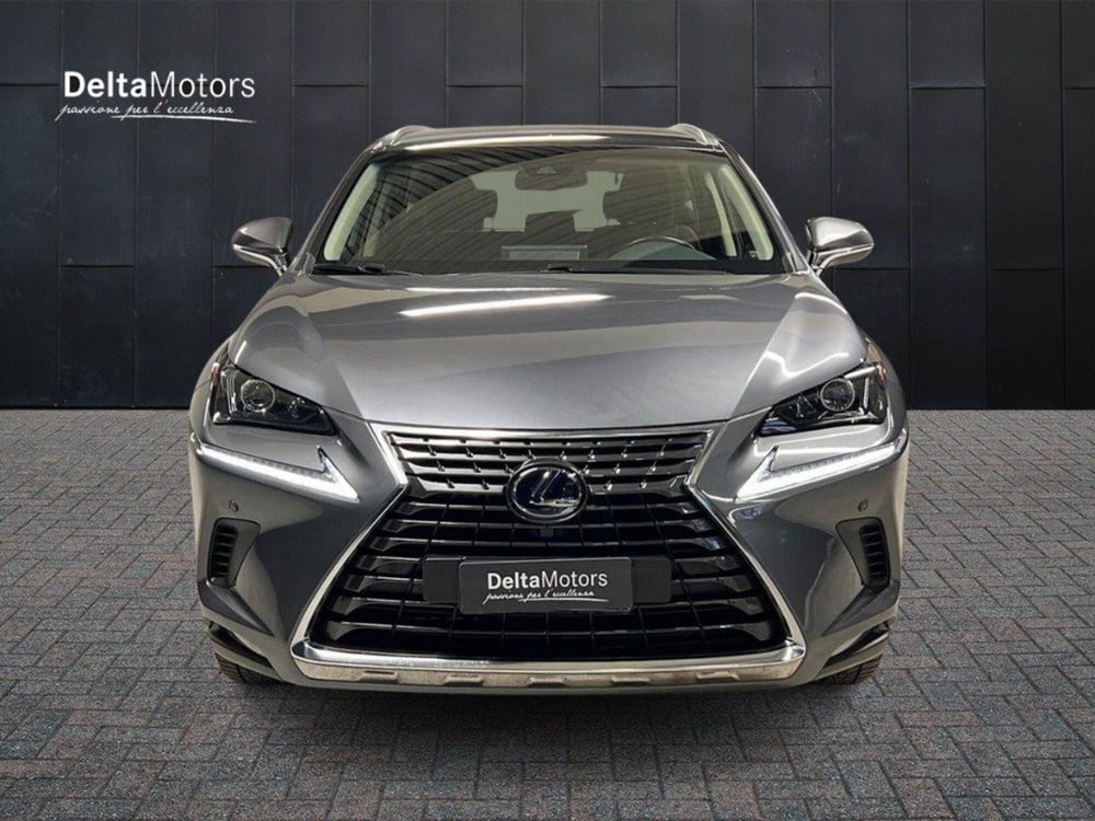 Lexus NX usata a Macerata (2)