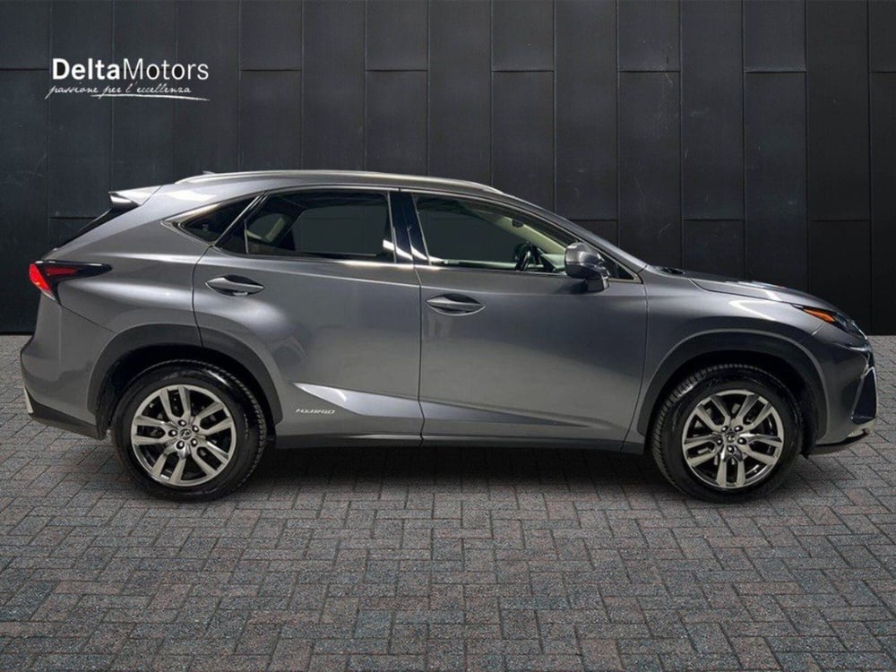 Lexus NX usata a Macerata (3)