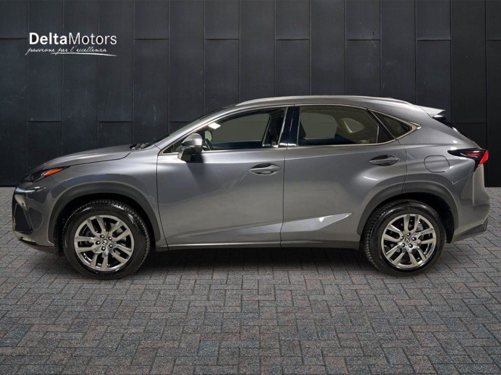 Lexus NX usata a Macerata (4)