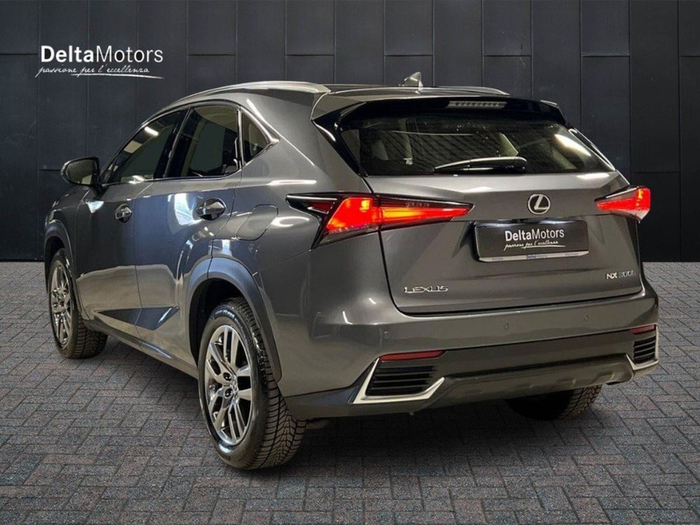 Lexus NX usata a Macerata (5)